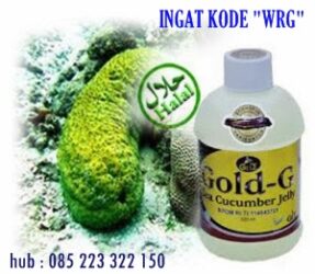 Obat Hipertiroid Untuk Ibu Hami